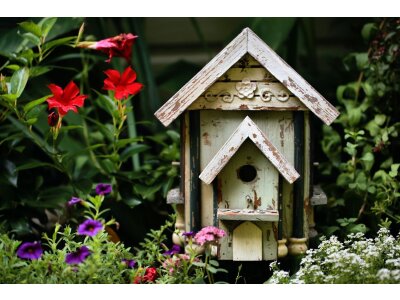 Căsuțe pentru păsări