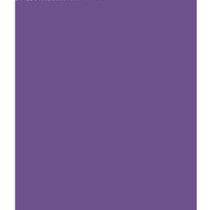 Clairefontaine Rolle Kraftpapier Color 300x70cm 70g Violett