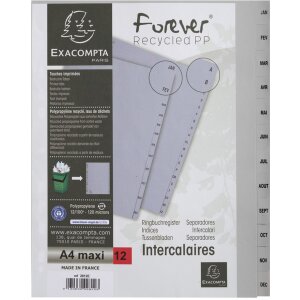 Exacompta Ringbuchregister PP A4 XXL Jan-Dez Grau 12 Fächer