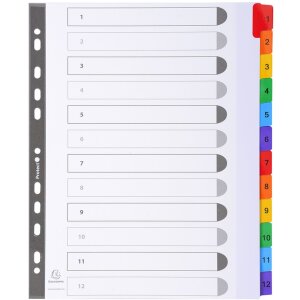 Exacompta Register DIN A4 12 Taben Karton 160 g...