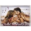 Hama třesoucí se rám Amore 10x15 cm