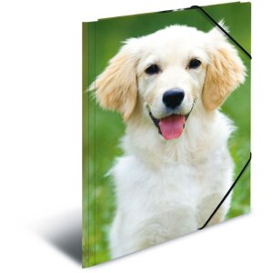HERMA Postmappe A3 mit Gummizug Hund, Farbe: nicht...