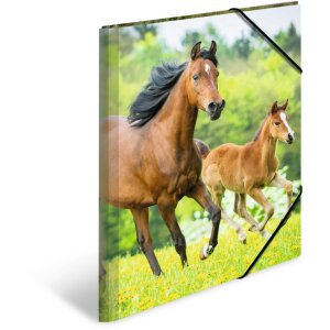 HERMA Postkarta A3 s gumovým závěrem koně