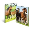 HERMA Postkarta A3 s gumovým závěrem koně