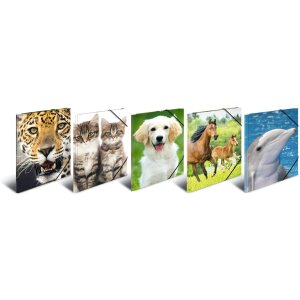 HERMA Aktovka A3 s gumou Delfín