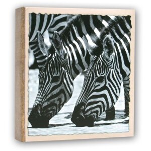 WILD LIFE slip-in album 200 fotografií 11x16 cm