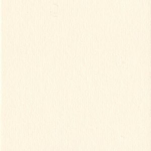Passepartout 20x40 cm - 10x30 cm Conchiglia