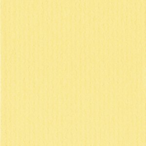 Passepartout 30x40 cm - 18x24 cm Giallo