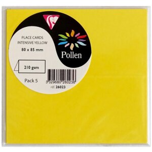 Clairefontaine Pollen stolečky na stůl 85x80 mm sada 5 kusů různé barvy