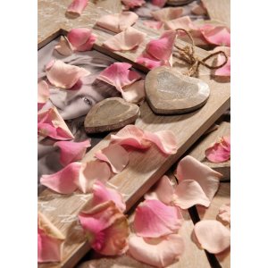 Dřevěný obrazový rám Walther Le Coeur 10x15 cm hnědý
