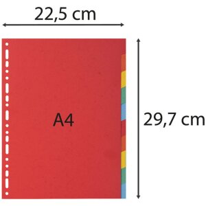 Exacompta 2010E Registr DIN A4 s 10 tabulkami z manila kartonu 300 µ
