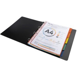 Exacompta Regála DIN A4 s 5 kartičkami z recyklátního kartonu