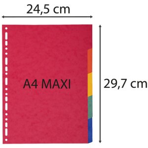 Exacompta Regála DIN A4 s 5 kartičkami z recyklátního kartonu