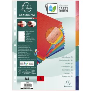 Exacompta 2206E kancelářský registr DIN A4 s 6 kartami manila karton 225 g