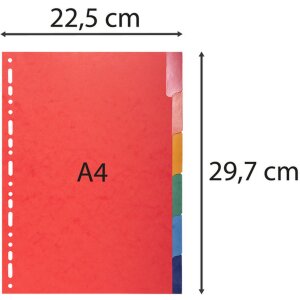 Exacompta 2206E kancelářský registr DIN A4 s 6 kartami manila karton 225 g