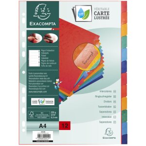 Exacompta 2212E Register DIN A4 s 12 kartami, manila 225 g