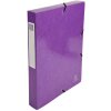 Exacompta Archivní krabice Iderama, zlakovaná, fialová, 24x32 cm
