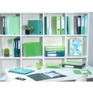 Exacompta Archivní krabička Iderama tmavě zelená pro DIN A4