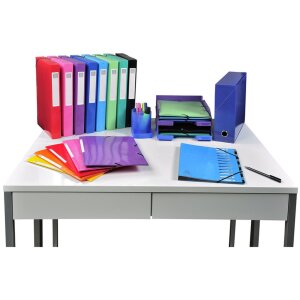 Exacompta Archivní krabička Iderama tmavě zelená pro DIN A4