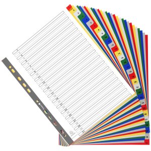 Exacompta registr s 31 přihrádkami A4 barevný s číslováním