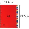 Exacompta registr s 31 přihrádkami A4 barevný s číslováním