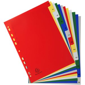 Exacompta Řadící deska DIN A4 s 12 měsíčními kartami z polypropylenu 120µ