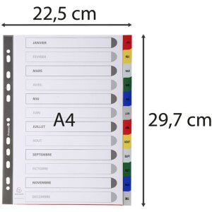 Exacompta Řadící deska DIN A4 s 12 měsíčními kartami z polypropylenu 120µ