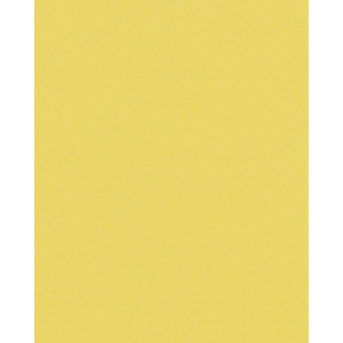 HNFD 20 dělicích karet pro fotoboxy Giallo pro fotoboxy 10x15 cm