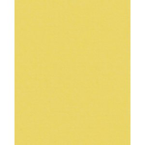 HNFD 20 dělicích karet pro fotoboxy Giallo pro...