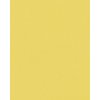 HNFD 20 dělicích karet pro fotoboxy Giallo pro fotoboxy 10x15 cm