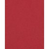 HNFD 20 dělicích karet pro fotoboxy Rosso Cardinale pro fotoboxy 10x15 cm
