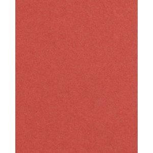 HNFD 20 dělicích karet pro fotoboxy Rosso...