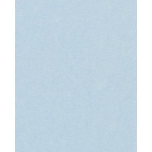 HNFD 20 dělicích karet pro fotoboxy Perg Blue pro...