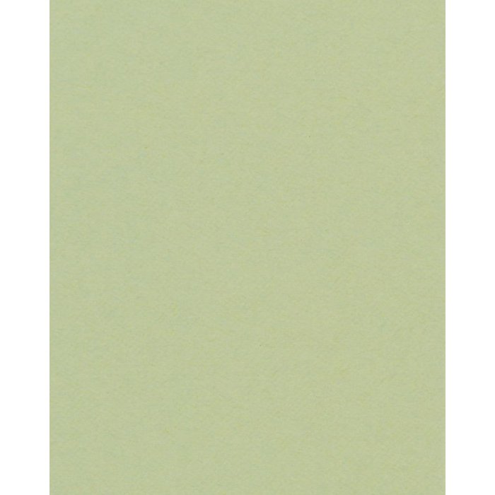 HNFD 20 dělicích karet pro fotoboxy Verde Alga pro fotoboxy 10x15 cm