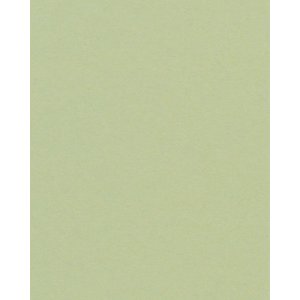 HNFD 20 dělicích karet pro fotoboxy Verde Alga pro...