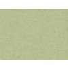 HNFD 20 dělicích karet pro fotoboxy Verde Alga pro fotoboxy 10x15 cm