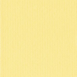 HNFD 12 rozdělovacích karet do fotoboxů 13x18 cm - Giallo