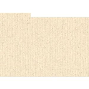 HNFD 12 oddělovacích karet do fotoboxu 13x18 cm -...