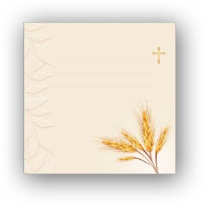 ZEP Fotoalbum COMUNION IX 31x31 cm bílý