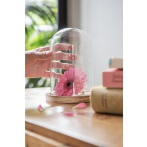 Skleněný zvon Clayre & Eef 6GL2168 - Ø...