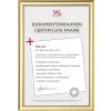 Rámeček na certifikát Walther Trendstyle 21x29,7 cm zlatý DIN A4