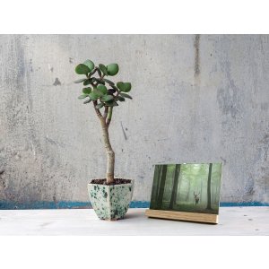 Fotorámeček Simplicity 10x15 cm až 15x20 cm