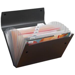 Složka na dokumenty Pentel Organizér DIN A4...