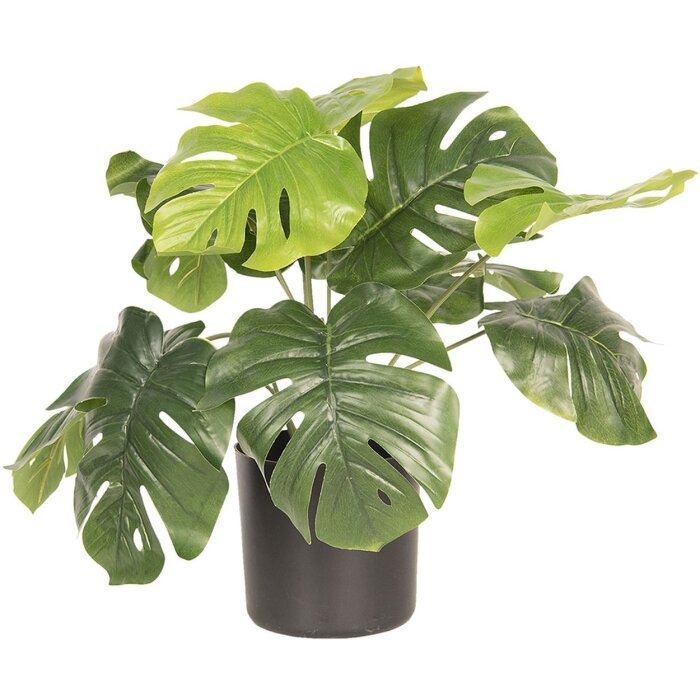 Dekorace rostlina Monstera Deliciosa 42x42x40 cm