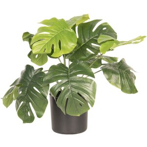 Dekorace rostlina Monstera Deliciosa 42x42x40 cm