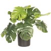 Dekorace rostlina Monstera Deliciosa 42x42x40 cm