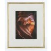 Dřevěný rám Hama Phoenix 24x30 cm zlatý