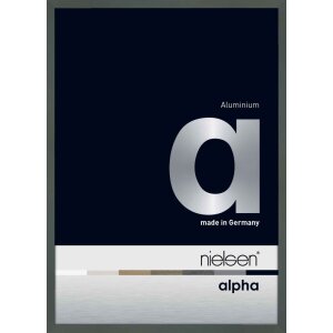 Hliníkový obrazový rám Nielsen Alpha TCSC 42x60 cm kartáčovaný jantarový