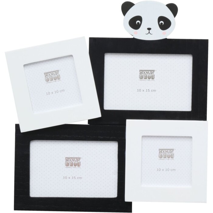 Fotogalerie Panda 4 fotografie 10x10 cm a 10x15 cm