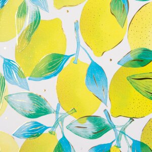 Goldbuch zápisník A5 prázdný Citrus 15x22 cm 200 stran prázdný